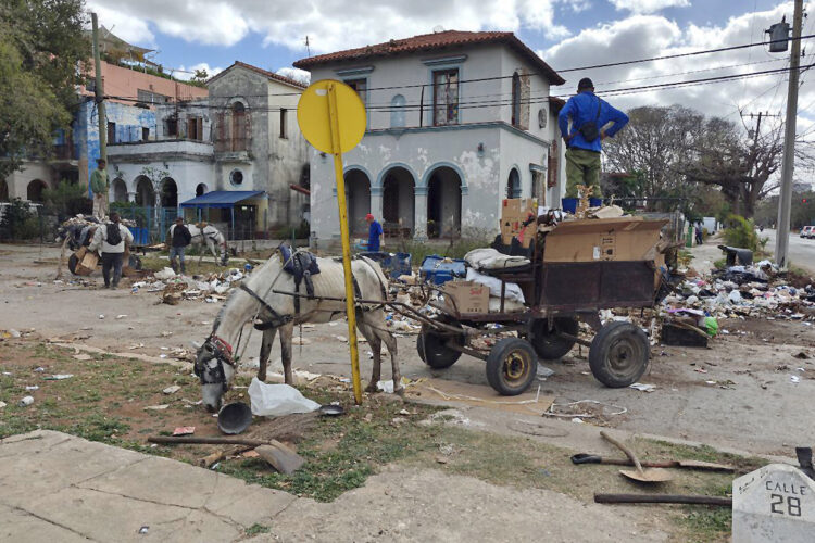 Personas recogen basura en una calle de La Habana. Foto: Juan Palop/EFE.