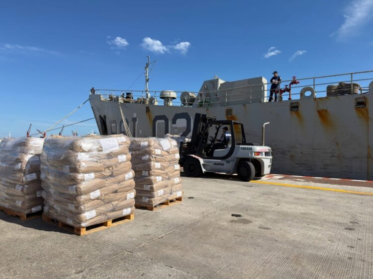 "Se enviaron alimentos principalmente y se va a enviar más y vamos a apoyar en lo que haga falta", dijo la presidenta mexicana, Claudia Sheinbaum. Foto: @SputnikMundo