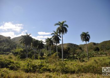 Punta Brava. Foto: Kaloian.