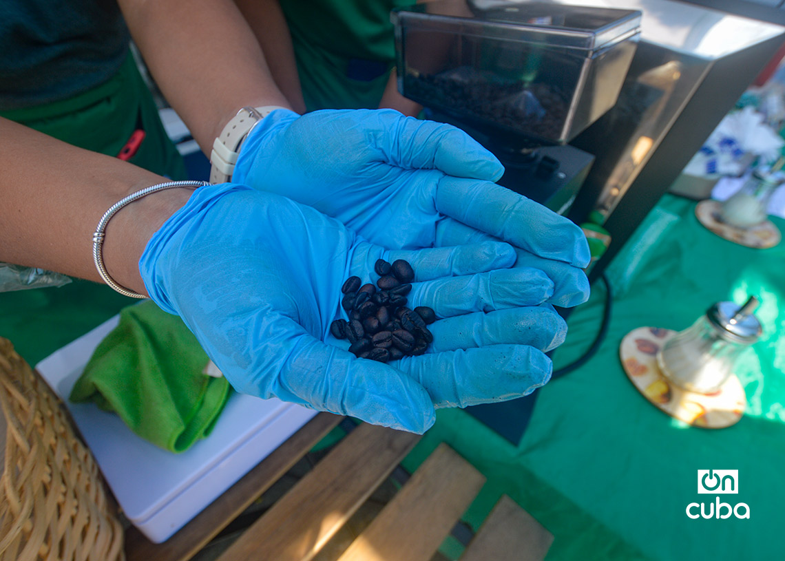 IV Feria de Desarrollo Local en La Habana Vieja. Foto: Otmaro Rodríguez.