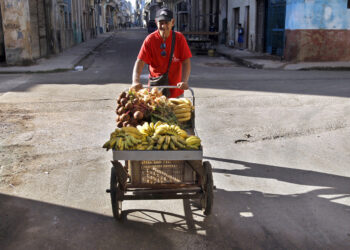 Foto: EFE/Ernesto Mastrascusa.