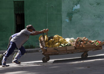 Foto: EFE/ Ernesto Mastrascusa.