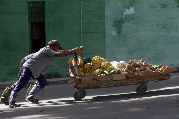 Foto: EFE/ Ernesto Mastrascusa.