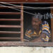 Un hombre observa desde una ventana, durante un apagón en La Habana. Foto: Ernesto Mastrascusa/EFE.