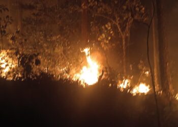 incendios Pinar del Río