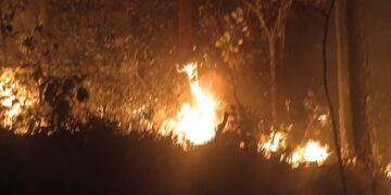 incendios Pinar del Río