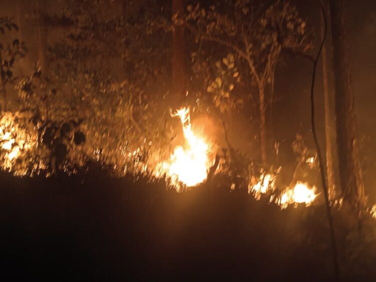 incendios Pinar del Río