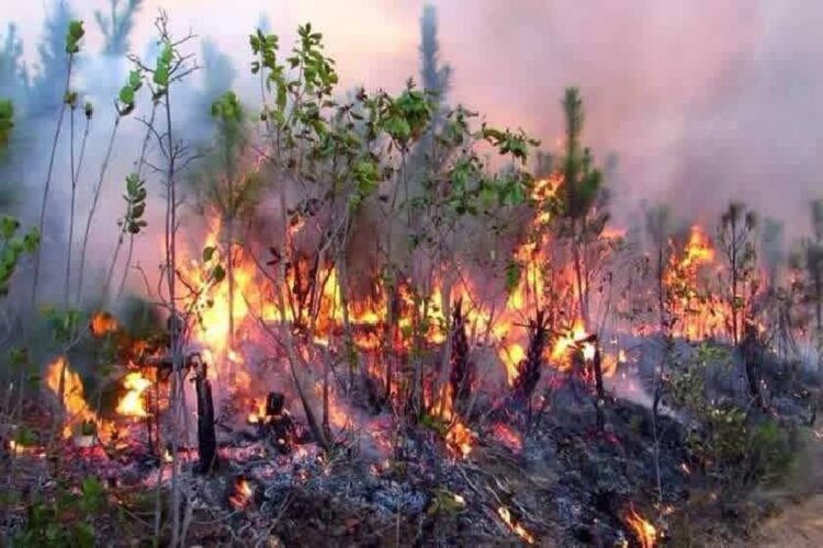 Incendios forestales en Pinar del Río. Foto: Radio Guamá