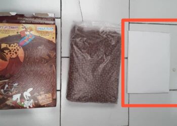 Las dosis de la droga se hallaron dentro de una caja de cereales. Foto: @vicejefeagr / X.