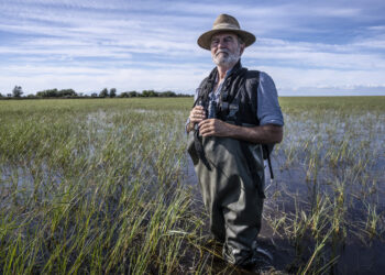 Héctor Garrido en la marisma inundada de la Reserva Biológica de Doñana, Huelva, España. Foto: Cortesía.