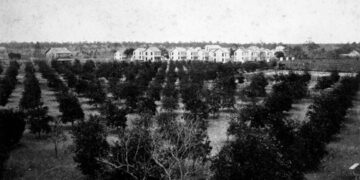 Vista general de Ibor City en 1889. Foto: Archivo Universidad de Florida.