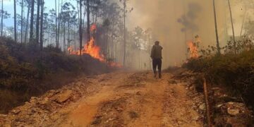 Foto: redpinar.gob.cu.