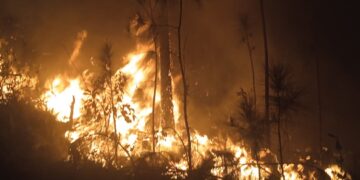 Incendio forestal en Minas de Matahambre, Pinar del Río. Foto: Marcia Delgado / Radio Guamá.