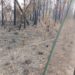 Zona afectada por un incendio forestal en Minas de Matahambre, Pinar del Río. Foto: Radio Guamá.