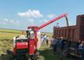 Primera cosecha de arroz en la comunidad de José Martí, ubicada en el municipio de Yara, como parte de un proyecto entre Cuba y Vietman, con capital 100 % extranjero. Foto: Tomada del perfil en Facebook de la Empresa Agroindustrial de Granos Fernando Echenique.