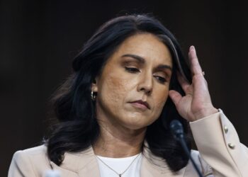 Tulsi Gabbard, Directora Nacional de Inteligencia de EE.UU, renuncia a su cargo. Foto: Jim Lo Scalzo / EFE / EPA.