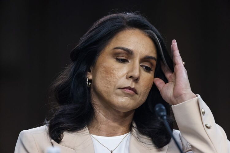Tulsi Gabbard, Directora Nacional de Inteligencia de EE.UU, renuncia a su cargo. Foto: Jim Lo Scalzo / EFE / EPA.