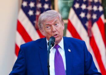 Donald Trump sofreciendo un discurso en la Casa Blanca. El 11 de mayo. Foto: AARON SCHWARTZ/EFE/EPA.