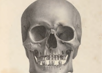 Litografía de un cráneo propiedad de Samuel Morton, publicado en su obra "Crania Americana".