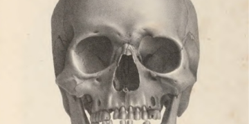 Litografía de un cráneo propiedad de Samuel Morton, publicado en su obra "Crania Americana".
