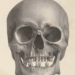Litografía de un cráneo propiedad de Samuel Morton, publicado en su obra "Crania Americana".