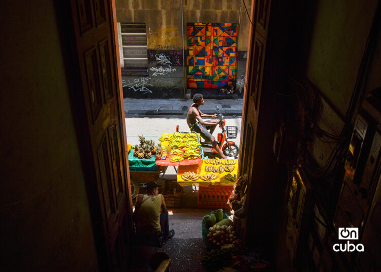 Foto: Otmaro Rodríguez