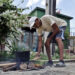 Una persona cocinando en la calle en La Habana. Foto: Ernesto Mastrascusa/EFE.