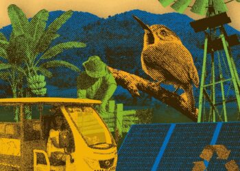 Convocatoria abierta del Programa de Pequeñas Donaciones (PPD) del PNUD en Cuba para iniciativas que generen beneficios ambientales. Foto: PNUD Cuba / X.