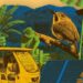Convocatoria abierta del Programa de Pequeñas Donaciones (PPD) del PNUD en Cuba para iniciativas que generen beneficios ambientales. Foto: PNUD Cuba / X.