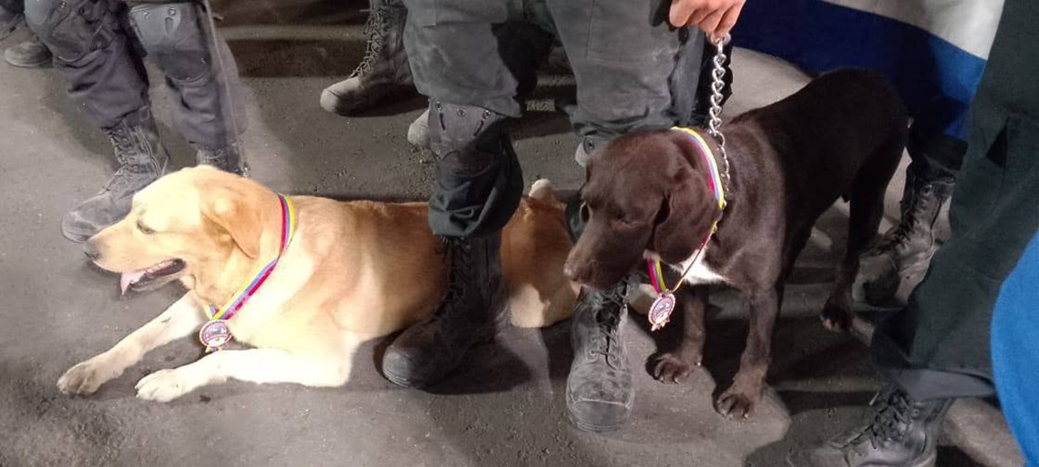 perros rescatistas Cuba