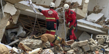 Rescatistas laboran en la búsqueda de víctimas y sobrevivientes tras los terremotos en Venezuela. Foto: Gea / EFE.
