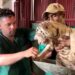 Es la segunda vez que nacen tigres de Bengala en Cuba. Foto: Reuters/Captura de video.