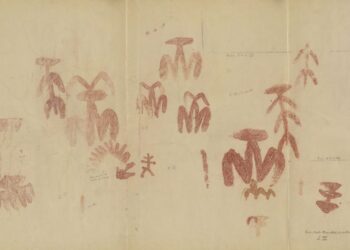 Reproducción de las pinturas rupestres que representan mujeres pariendo hace 6 mil años, en Peñaescrita, en Fuencaliente (Ciudad Real), España, realizada por Francisco Mellado hacia 1920. Museo Virtual de Ecología Humana, CC BY-SA