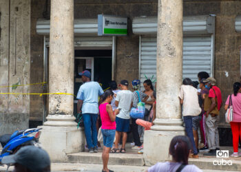 La directora general de Relaciones Exteriores, Miossoty Paradelo, mantiene contactos con entidades bancarias, empresas de transporte y operadores que pueden intervenir en la llegada y distribución de los suministros. Foto: Otmaro Rodríguez