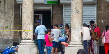 La directora general de Relaciones Exteriores, Miossoty Paradelo, mantiene contactos con entidades bancarias, empresas de transporte y operadores que pueden intervenir en la llegada y distribución de los suministros. Foto: Otmaro Rodríguez