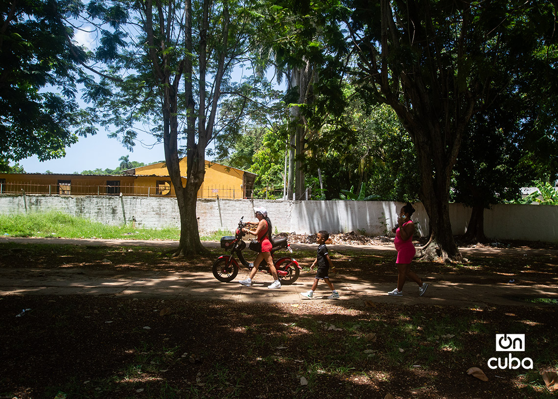 Paseo de la Lisa. Foto: Otmaro Rodríguez.