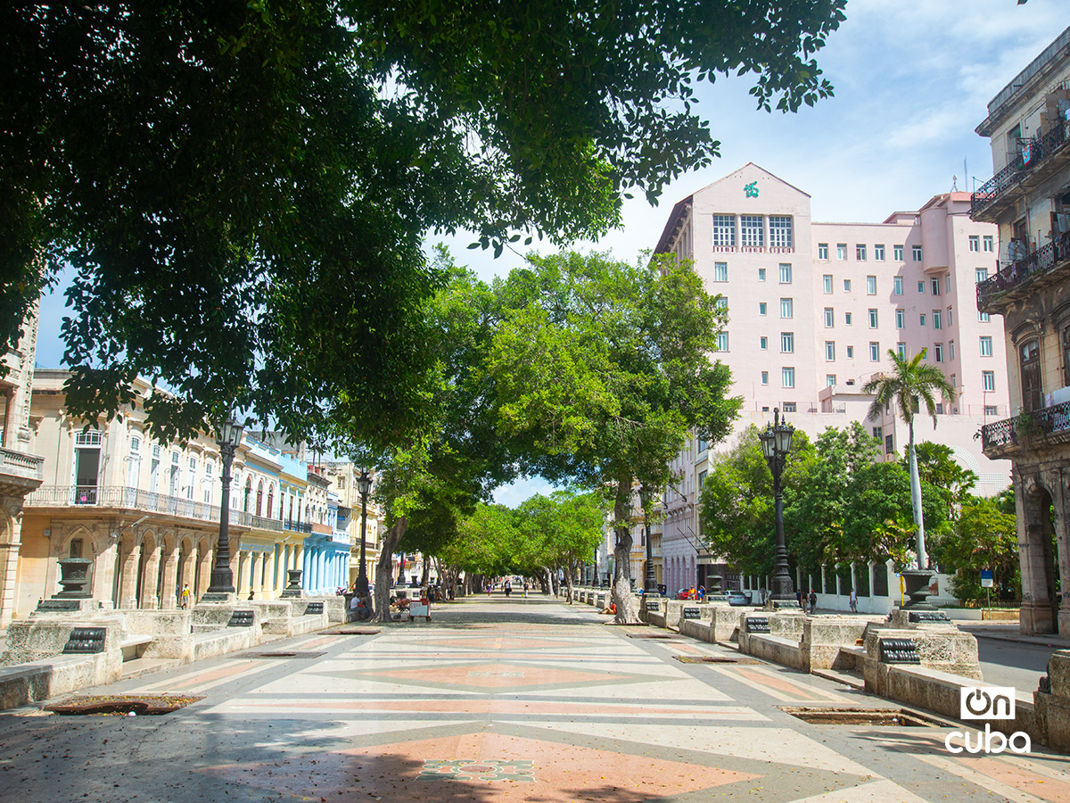 El Paseo del Prado de La Habana, prácticamente sin personas. Foto: Otmaro Rodríguez.