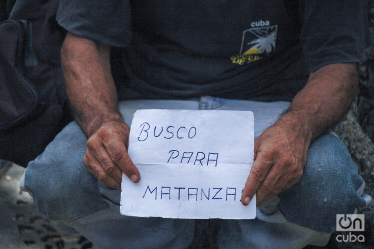 Foto: Kaloian.