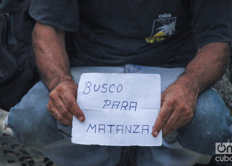 Foto: Kaloian.