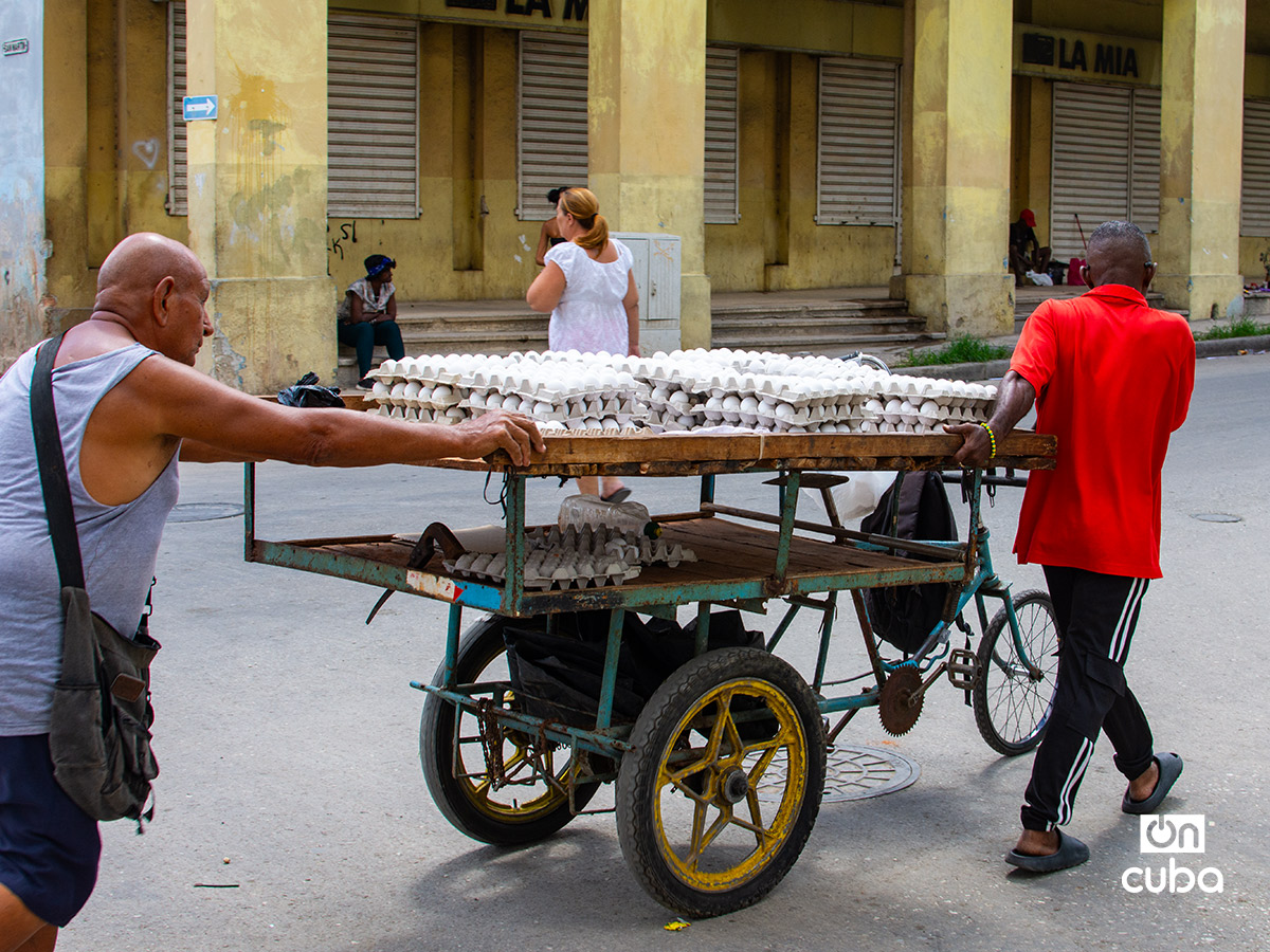 Foto: Otmaro Rodríguez.