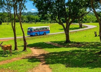 Parque Zoológico Nacional de La Habana. Foto: Facebook de la institución.