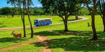 Parque Zoológico Nacional de La Habana. Foto: Facebook de la institución.