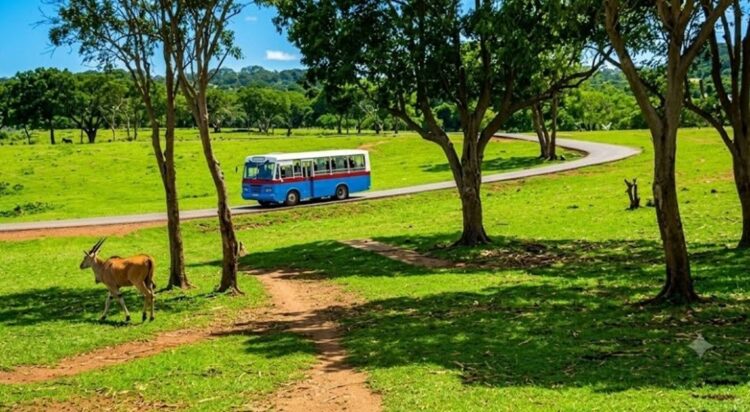 Parque Zoológico Nacional de La Habana. Foto: Facebook de la institución.