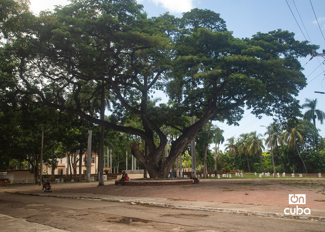 Avenida 51 y calle 202, La Lisa. Foto: Otmaro Rodríguez.