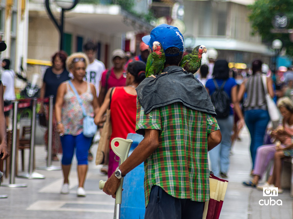 Foto: Otmaro Rodríguez.
