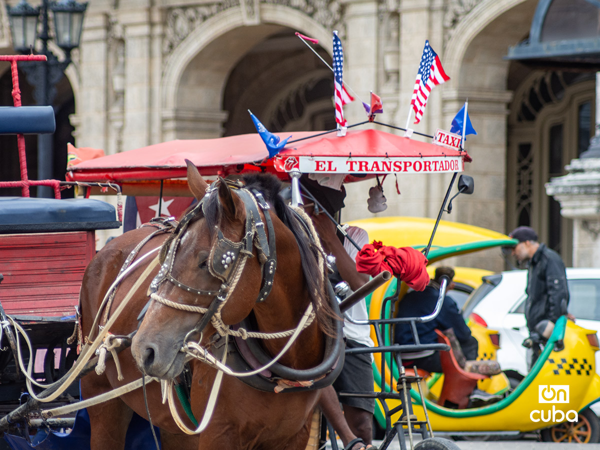 Banderas de EE.UU. a pequeña escala, en un coche de caballos en La Habana. Foto: Otmaro Rodríguez.