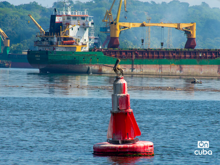 Foto: Otmaro Rodríguez.