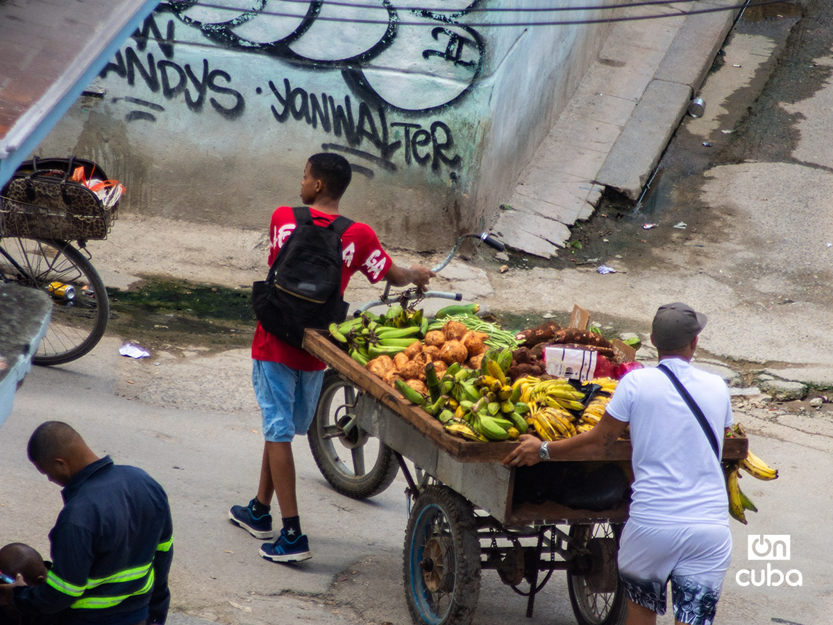 Foto: Otmaro Rodríguez.