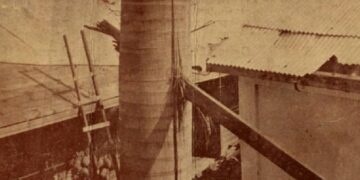 La icónica palma real con la viga que la atravesó como una flecha. Foto: Álbum del ciclón del 20 de octubre de 1926.