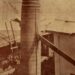 La icónica palma real con la viga que la atravesó como una flecha. Foto: Álbum del ciclón del 20 de octubre de 1926.